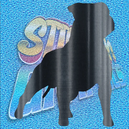 Staffordshire Terrier 007
