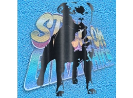 Staffordshire Terrier 008