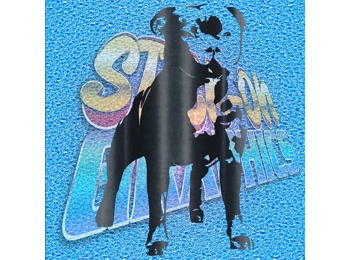 Staffordshire Terrier 008