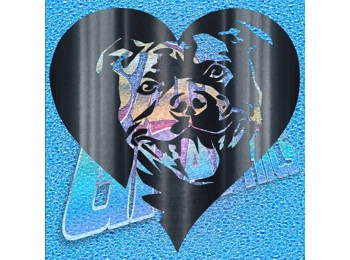 Staffordshire Terrier 009