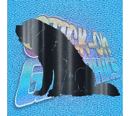St. Bernard 002