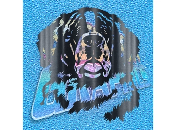 St. Bernard Face 001