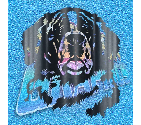 St. Bernard Face 001