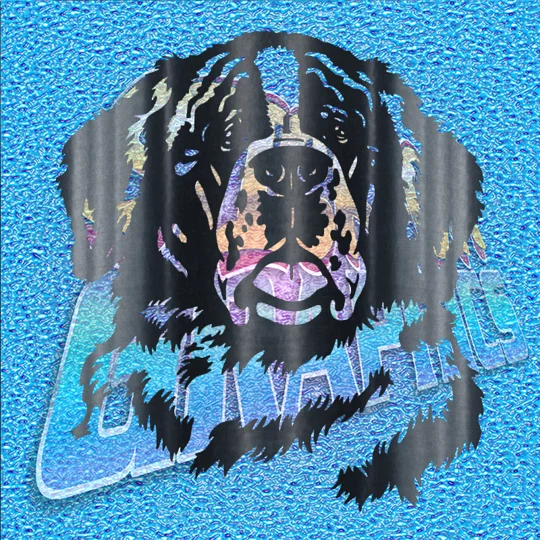 St. Bernard Face 001