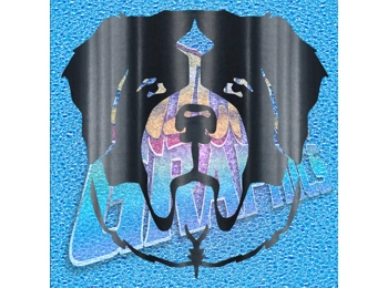 St. Bernard Face 002