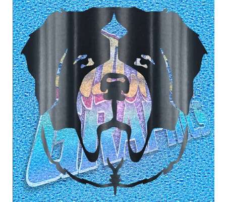 St. Bernard Face 002