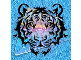 Tiger 001