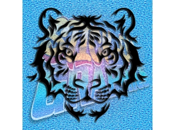 Tiger 001