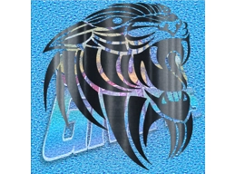 Tiger 003