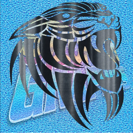 Tiger 003