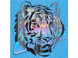 Tiger 004