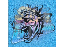 Tiger head