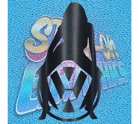 VW 011