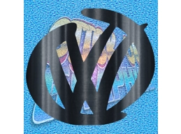 VW 005