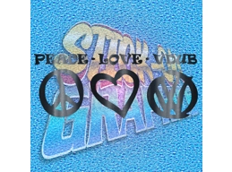 Peace.Love.VDub