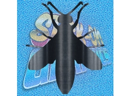 Wasp