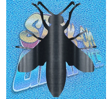 Wasp