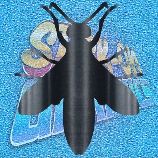 Wasp