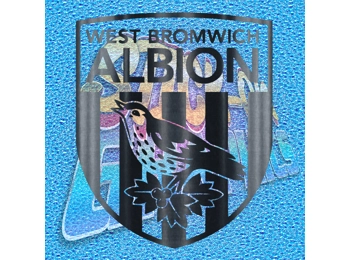 West Bromwich Albion FC