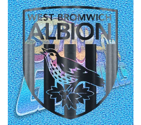 West Bromwich Albion FC