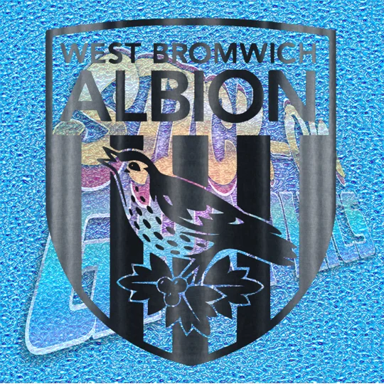 West Bromwich Albion FC