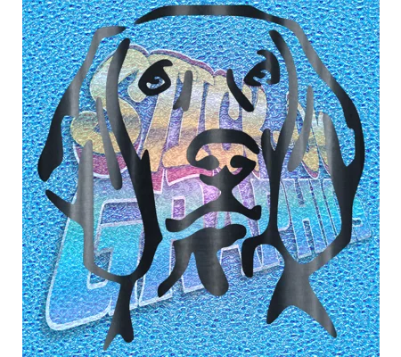 Weimaraner
