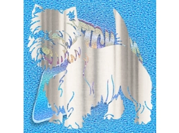 West Highland 003 Invert