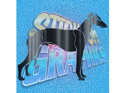 whippet
