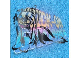 Yorkshire Terrier 001