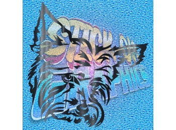 Yorkshire Terrier 010