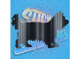 Yorkshire Terrier 011