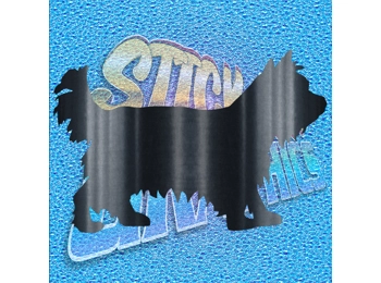 Yorkshire Terrier 011