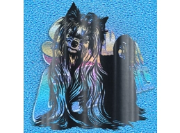 Yorkshire Terrier 002