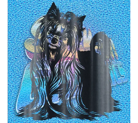Yorkshire Terrier 002