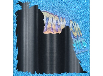 Yorkshire Terrier 003