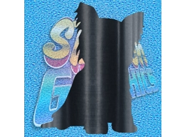 Yorkshire Terrier 004