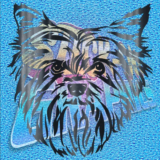 Yorkshire Terrier 005