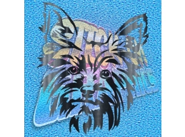 Yorkshire Terrier 006