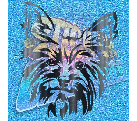 Yorkshire Terrier 006