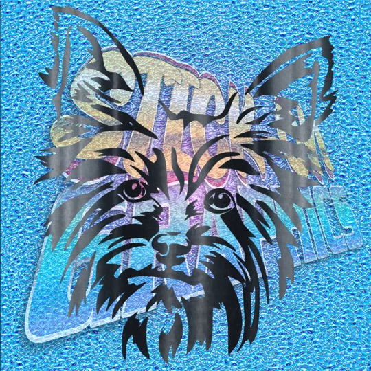 Yorkshire Terrier 006