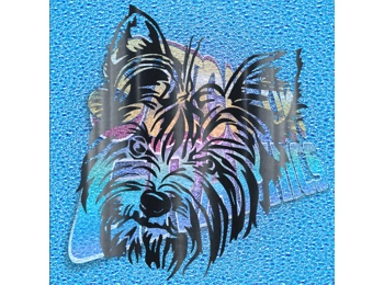 Yorkshire Terrier 007
