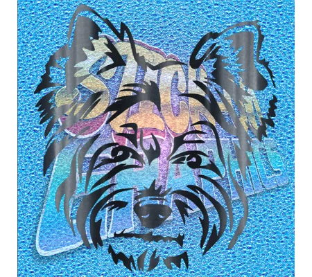 Yorkshire Terrier 008