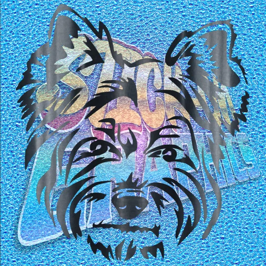 Yorkshire Terrier 008