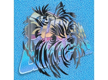 Yorkshire Terrier 009