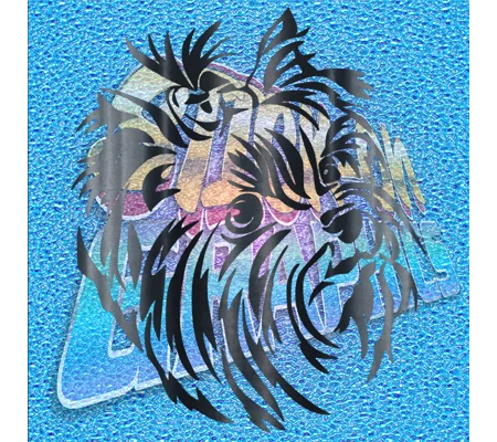 Yorkshire Terrier 009