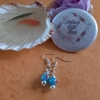 Arctic Blue Earrings - Blue and Red Flower