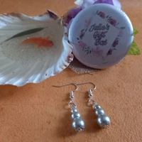 Arctic Blue Earrings - Silver