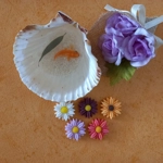 Daisy Fridge Magnets Set of 5 Daisy Fridge Magnets Set of 5