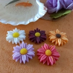 Daisy Fridge Magnets Set of 5 Daisy Fridge Magnets Set of 5