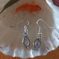 Oval Shape with Crystal Earrings